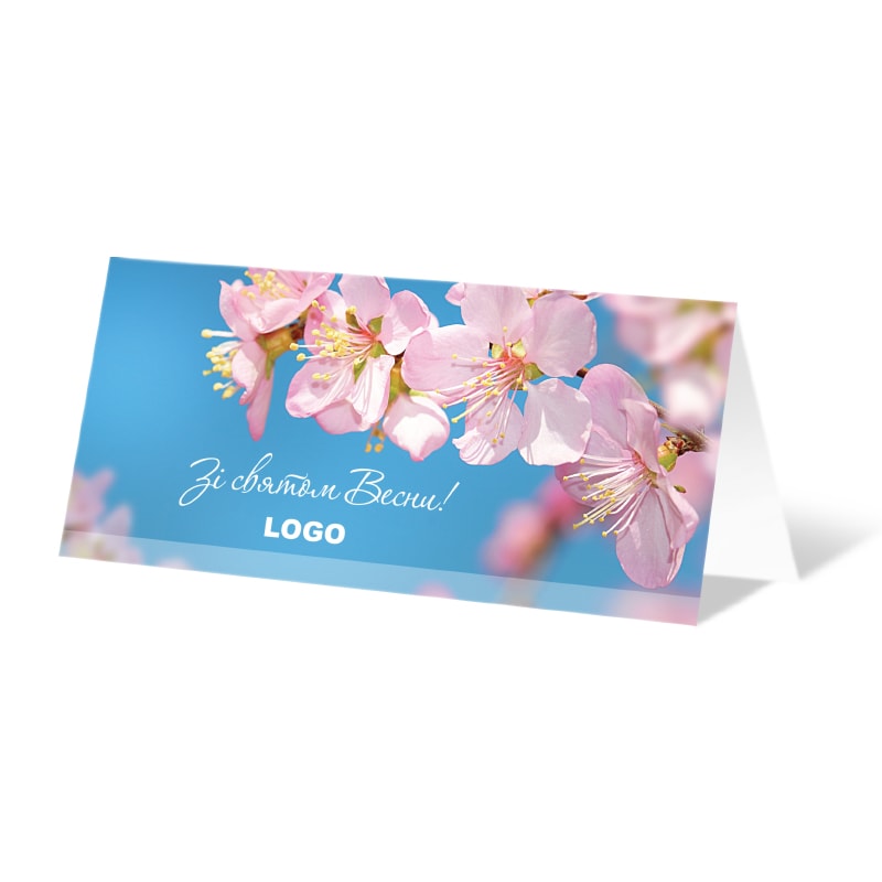 фото номер 1 D0578, Новинки moodle.lastivka.ua